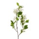 GloboStar® Artificial Garden WHITE JASMINE BRANCH 21145 Τεχνητό Διακοσμητικό Κλαδί Λευκό Γιασεμί Y80cm GloboStar® Artificial Garden WHITE JASMINE BRANCH 21145 Τεχνητό Διακοσμητικό Κλαδί Λευκό Γιασεμί Y80cm