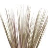 GloboStar® Artificial Garden BEIGE GRASS BOUQUET 21160 Τεχνητό Διακοσμητικό Μπουκέτο Grass Μπεζ Y70cm