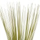 GloboStar® Artificial Garden GREEN GRASS BOUQUET 21164 Τεχνητό Διακοσμητικό Μπουκέτο Grass Πράσινο Y90cm GloboStar® Artificial Garden GREEN GRASS BOUQUET 21164 Τεχνητό Διακοσμητικό Μπουκέτο Grass Πράσινο Y90cm