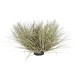 GloboStar® Artificial Garden GRASS BUSH PLANT 21167 Τεχνητό Διακοσμητικό Φυτό Θάμνος Grass Π50cm Y30cm GloboStar® Artificial Garden GRASS BUSH PLANT 21167 Τεχνητό Διακοσμητικό Φυτό Θάμνος Grass Π50cm Y30cm
