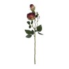 GloboStar® Artificial Garden RED DAMASK CLIMBING ROSE BRANCH 21197 Τεχνητό Διακοσμητικό Κλαδί Τριαντάφυλλο Κόκκινο Y55cm