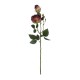 GloboStar® Artificial Garden RED DAMASK CLIMBING ROSE BRANCH 21197 Τεχνητό Διακοσμητικό Κλαδί Τριαντάφυλλο Κόκκινο Y55cm GloboStar® Artificial Garden RED DAMASK CLIMBING ROSE BRANCH 21197 Τεχνητό Διακοσμητικό Κλαδί Τριαντάφυλλο Κόκκινο Y55cm