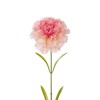 GloboStar® Artificial Garden PING CARNATION BRANCH 21209 Τεχνητό Διακοσμητικό Κλαδί Γαρίφαλο Ρόζ Y60cm