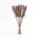 GloboStar® Artificial Garden REAL DRIED BROWN PAMPAS GRASS BUNCH 21215 Αποξηραμένο Διακοσμητικό Μπουκέτο Pampas Kάφε Y50cm GloboStar® Artificial Garden REAL DRIED BROWN PAMPAS GRASS BUNCH 21215 Αποξηραμένο Διακοσμητικό Μπουκέτο Pampas Kάφε Y50cm