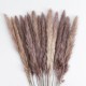 GloboStar® Artificial Garden REAL DRIED BROWN PAMPAS GRASS BUNCH 21215 Αποξηραμένο Διακοσμητικό Μπουκέτο Pampas Kάφε Y50cm GloboStar® Artificial Garden REAL DRIED BROWN PAMPAS GRASS BUNCH 21215 Αποξηραμένο Διακοσμητικό Μπουκέτο Pampas Kάφε Y50cm