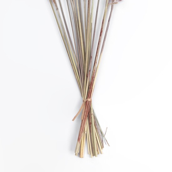GloboStar® Artificial Garden REAL DRIED BROWN PAMPAS GRASS BUNCH 21215 Αποξηραμένο Διακοσμητικό Μπουκέτο Pampas Kάφε Y50cm GloboStar® Artificial Garden REAL DRIED BROWN PAMPAS GRASS BUNCH 21215 Αποξηραμένο Διακοσμητικό Μπουκέτο Pampas Kάφε Y50cm