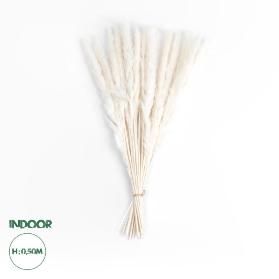 GloboStar® Artificial Garden REAL DRIED BEIGE PAMPAS GRASS BUNCH 21216 Αποξηραμένο Διακοσμητικό Μπουκέτο Pampas Μπέζ Y50cm GloboStar® Artificial Garden REAL DRIED BEIGE PAMPAS GRASS BUNCH 21216 Αποξηραμένο Διακοσμητικό Μπουκέτο Pampas Μπέζ Y50cm