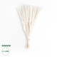 GloboStar® Artificial Garden REAL DRIED BEIGE PAMPAS GRASS BUNCH 21216 Αποξηραμένο Διακοσμητικό Μπουκέτο Pampas Μπέζ Y50cm GloboStar® Artificial Garden REAL DRIED BEIGE PAMPAS GRASS BUNCH 21216 Αποξηραμένο Διακοσμητικό Μπουκέτο Pampas Μπέζ Y50cm