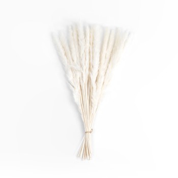 GloboStar® Artificial Garden REAL DRIED BEIGE PAMPAS GRASS BUNCH 21216 Αποξηραμένο Διακοσμητικό Μπουκέτο Pampas Μπέζ Y50cm - Σετ 15 τμχ