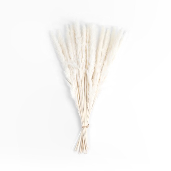 GloboStar® Artificial Garden REAL DRIED BEIGE PAMPAS GRASS BUNCH 21216 Αποξηραμένο Διακοσμητικό Μπουκέτο Pampas Μπέζ Y50cm GloboStar® Artificial Garden REAL DRIED BEIGE PAMPAS GRASS BUNCH 21216 Αποξηραμένο Διακοσμητικό Μπουκέτο Pampas Μπέζ Y50cm