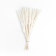 GloboStar® Artificial Garden REAL DRIED BEIGE PAMPAS GRASS BUNCH 21216 Αποξηραμένο Διακοσμητικό Μπουκέτο Pampas Μπέζ Y50cm GloboStar® Artificial Garden REAL DRIED BEIGE PAMPAS GRASS BUNCH 21216 Αποξηραμένο Διακοσμητικό Μπουκέτο Pampas Μπέζ Y50cm