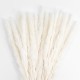 GloboStar® Artificial Garden REAL DRIED BEIGE PAMPAS GRASS BUNCH 21216 Αποξηραμένο Διακοσμητικό Μπουκέτο Pampas Μπέζ Y50cm GloboStar® Artificial Garden REAL DRIED BEIGE PAMPAS GRASS BUNCH 21216 Αποξηραμένο Διακοσμητικό Μπουκέτο Pampas Μπέζ Y50cm