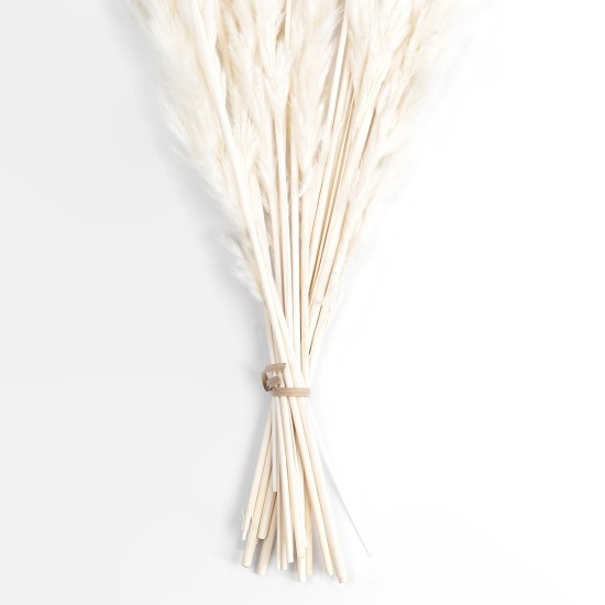 GloboStar® Artificial Garden REAL DRIED BEIGE PAMPAS GRASS BUNCH 21216 Αποξηραμένο Διακοσμητικό Μπουκέτο Pampas Μπέζ Y50cm GloboStar® Artificial Garden REAL DRIED BEIGE PAMPAS GRASS BUNCH 21216 Αποξηραμένο Διακοσμητικό Μπουκέτο Pampas Μπέζ Y50cm