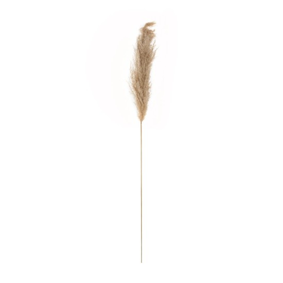 GloboStar® Artificial Garden PAMPAS GRASS 21217 Αποξηραμένο Διακοσμητικό Γρασίδι Πάμπας Μ10 x Π10 x Υ150cm