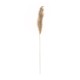 GloboStar® Artificial Garden PAMPAS GRASS 21217 Αποξηραμένο Διακοσμητικό Γρασίδι Πάμπας Μ10 x Π10 x Υ150cm
