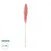 GloboStar® Artificial Garden PAMPAS GRASS 21218 Αποξηραμένο Διακοσμητικό Γρασίδι Πάμπας Μ10 x Π10 x Υ150cm