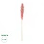GloboStar® Artificial Garden PAMPAS GRASS 21218 Αποξηραμένο Διακοσμητικό Γρασίδι Πάμπας Μ10 x Π10 x Υ150cm