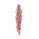 GloboStar® Artificial Garden PAMPAS GRASS 21218 Αποξηραμένο Διακοσμητικό Γρασίδι Πάμπας Μ10 x Π10 x Υ150cm