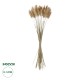 GloboStar® Artificial Garden REAL DRIED BEIGE WHEAT BUNCH 21219 Αποξηραμένο Διακοσμητικό Μπουκέτο Σιταριού Y50cm GloboStar® Artificial Garden REAL DRIED BEIGE WHEAT BUNCH 21219 Αποξηραμένο Διακοσμητικό Μπουκέτο Σιταριού Y50cm