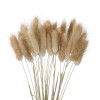 GloboStar® Artificial Garden REAL DRIED BEIGE WHEAT BUNCH  21219 Αποξηραμένο Διακοσμητικό Μπουκέτο Σιταριού Y50cm