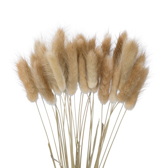 GloboStar® Artificial Garden REAL DRIED BEIGE WHEAT BUNCH 21219 Αποξηραμένο Διακοσμητικό Μπουκέτο Σιταριού Y50cm GloboStar® Artificial Garden REAL DRIED BEIGE WHEAT BUNCH 21219 Αποξηραμένο Διακοσμητικό Μπουκέτο Σιταριού Y50cm