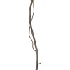 GloboStar® Artificial Garden REAL DRIED WITHERED VINE STEM 21220 Τεχνητό Διακοσμητικό Κλαδί Αμπελιού Y120cm