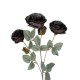GloboStar® Artificial Garden PURPLE BRANCH 21301 Τεχνητό Διακοσμητικό Κλαδί Τριαντάφυλλα Μωβ Y60cm GloboStar® Artificial Garden PURPLE BRANCH 21301 Τεχνητό Διακοσμητικό Κλαδί Τριαντάφυλλα Μωβ Y60cm