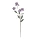 GloboStar® Artificial Garden PURPLE CHRYSANTHEMUM BRANCH 21303 Τεχνητό Διακοσμητικό Μωβ Κλαδί Χρυσάνθεμο Y83cm GloboStar® Artificial Garden PURPLE CHRYSANTHEMUM BRANCH 21303 Τεχνητό Διακοσμητικό Μωβ Κλαδί Χρυσάνθεμο Y83cm