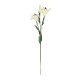 GloboStar® Artificial Garden WHITE LILY BRANCH 21310 Τεχνητό Διακοσμητικό Κλαδί Λευκό Κρίνο Y90cm GloboStar® Artificial Garden WHITE LILY BRANCH 21310 Τεχνητό Διακοσμητικό Κλαδί Λευκό Κρίνο Y90cm