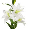 GloboStar® Artificial Garden WHITE LILY BRANCH 21312 Τεχνητό Διακοσμητικό Κλαδί Λευκό Κρίνο Y95cm