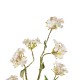 GloboStar® Artificial Garden WHITE CHERRY BLOSSOM BRANCH 21320 Τεχνητό Διακοσμητικό Λευκό Κλαδί Κερασίας Y88cm GloboStar® Artificial Garden WHITE CHERRY BLOSSOM BRANCH 21320 Τεχνητό Διακοσμητικό Λευκό Κλαδί Κερασίας Y88cm