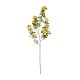 GloboStar® Artificial Garden ORANGE APRICOT BRANCH 21325 Τεχνητό Διακοσμητικό Πορτοκαλί Κλαδί Ροδακινίας Y100cm GloboStar® Artificial Garden ORANGE APRICOT BRANCH 21325 Τεχνητό Διακοσμητικό Πορτοκαλί Κλαδί Ροδακινίας Y100cm