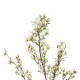 GloboStar® Artificial Garden WHITE FORSYTHIA BRANCH 21326 Τεχνητό Διακοσμητικό Λευκό Κλαδί Φορσύθιας Y83cm GloboStar® Artificial Garden WHITE FORSYTHIA BRANCH 21326 Τεχνητό Διακοσμητικό Λευκό Κλαδί Φορσύθιας Y83cm