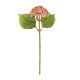 GloboStar® Artificial Garden SALMON SEDUM BRANCH 21337 Τεχνητό Διακοσμητικό Κλαδί Ροζ Σέδο Y38cm GloboStar® Artificial Garden SALMON SEDUM BRANCH 21337 Τεχνητό Διακοσμητικό Κλαδί Ροζ Σέδο Y38cm