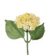 GloboStar® Artificial Garden WHITE SEDUM BRANCH 21339 Τεχνητό Διακοσμητικό Κλαδί Λευκό Σέδο Y38cm GloboStar® Artificial Garden WHITE SEDUM BRANCH 21339 Τεχνητό Διακοσμητικό Κλαδί Λευκό Σέδο Y38cm