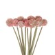 GloboStar® Artificial Garden PINK DANDELION BOUQET 21359 Τεχνητό Διακοσμητικό Ταραξάκο Μπουκέτο Y54cm GloboStar® Artificial Garden PINK DANDELION BOUQET 21359 Τεχνητό Διακοσμητικό Ταραξάκο Μπουκέτο Y54cm
