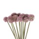 GloboStar® Artificial Garden PURPLE DANDELION BOUQET 21360 Τεχνητό Διακοσμητικό Ταραξάκο Μπουκέτο Y54cm GloboStar® Artificial Garden PURPLE DANDELION BOUQET 21360 Τεχνητό Διακοσμητικό Ταραξάκο Μπουκέτο Y54cm