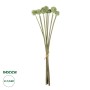GloboStar® Artificial Garden PALE GREEN DANDELION BOUQET 21362 Τεχνητό Διακοσμητικό Ταραξάκο Μπουκέτο Y54cm