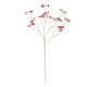 GloboStar® Artificial Garden PINK BRANCH BABY BREATH 21368 Τεχνητό Διακοσμητικό Κλαδί Ροζ Γυψοφίλης Y61cm GloboStar® Artificial Garden PINK BRANCH BABY BREATH 21368 Τεχνητό Διακοσμητικό Κλαδί Ροζ Γυψοφίλης Y61cm