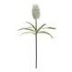 GloboStar® Artificial Garden WHITE STIPA FRUIT BRANCH 21374 Τεχνητό Διακοσμητικό Κλαδί Στίπα Y69cm GloboStar® Artificial Garden WHITE STIPA FRUIT BRANCH 21374 Τεχνητό Διακοσμητικό Κλαδί Στίπα Y69cm