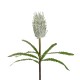 GloboStar® Artificial Garden WHITE STIPA FRUIT BRANCH 21374 Τεχνητό Διακοσμητικό Κλαδί Στίπα Y69cm GloboStar® Artificial Garden WHITE STIPA FRUIT BRANCH 21374 Τεχνητό Διακοσμητικό Κλαδί Στίπα Y69cm