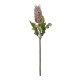GloboStar® Artificial Garden PURPLE STIPA FRUIT BRANCH 21375 Τεχνητό Διακοσμητικό Κλαδί Στίπα  Y69cm