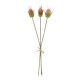 GloboStar® Artificial Garden PINK VELVET FRUIT BOUQET 21377 Τεχνητό Διακοσμητικό Μπουκέτο Βερμπάσκο Y56cm GloboStar® Artificial Garden PINK VELVET FRUIT BOUQET 21377 Τεχνητό Διακοσμητικό Μπουκέτο Βερμπάσκο Y56cm