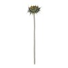 GloboStar® Artificial Garden GREEN SUNFLOWER BRANCH 21378 Τεχνητό Διακοσμητικό Κλαδί Ηλιοτρόπιο Πράσινο Y60cm
