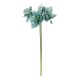 GloboStar® Artificial Garden SKY BLUE KAFFIR LILY BRANCH 21389 Τεχνητό Διακοσμητικό Κλαδί Μπλέ Κρίνο Y72cm GloboStar® Artificial Garden SKY BLUE KAFFIR LILY BRANCH 21389 Τεχνητό Διακοσμητικό Κλαδί Μπλέ Κρίνο Y72cm