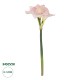 GloboStar® Artificial Garden PINK KAFFIR LILY BRANCH 21390 Τεχνητό Διακοσμητικό Κλαδί Ροζ Κρίνο Y58cm GloboStar® Artificial Garden PINK KAFFIR LILY BRANCH 21390 Τεχνητό Διακοσμητικό Κλαδί Ροζ Κρίνο Y58cm