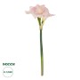 GloboStar® Artificial Garden PINK KAFFIR LILY BRANCH 21390 Τεχνητό Διακοσμητικό Κλαδί Ροζ Κρίνο Y58cm