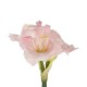 GloboStar® Artificial Garden PINK KAFFIR LILY BRANCH 21390 Τεχνητό Διακοσμητικό Κλαδί Ροζ Κρίνο Y58cm GloboStar® Artificial Garden PINK KAFFIR LILY BRANCH 21390 Τεχνητό Διακοσμητικό Κλαδί Ροζ Κρίνο Y58cm