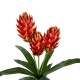 GloboStar® Artificial Garden RED MOON PEACH BRANCH 21391 Τεχνητό Διακοσμητικό Κόκκινο Κλαδί Άνθος Ροδάκινου Y70cm