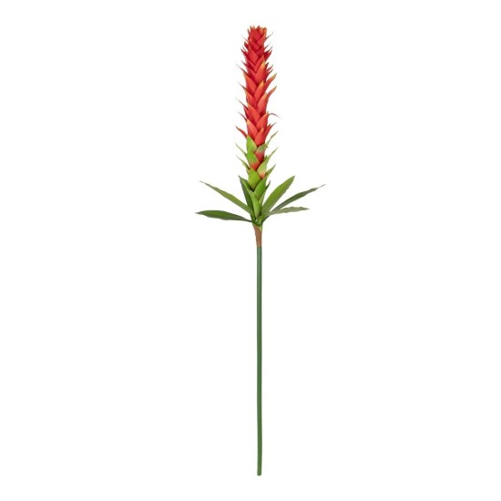 GloboStar® Artificial Garden RED GINGER BUD BRANCH 21393 Τεχνητό Διακοσμητικό Κόκκινο Κλαδί Ginger Y124cm GloboStar® Artificial Garden RED GINGER BUD BRANCH 21393 Τεχνητό Διακοσμητικό Κόκκινο Κλαδί Ginger Y124cm
